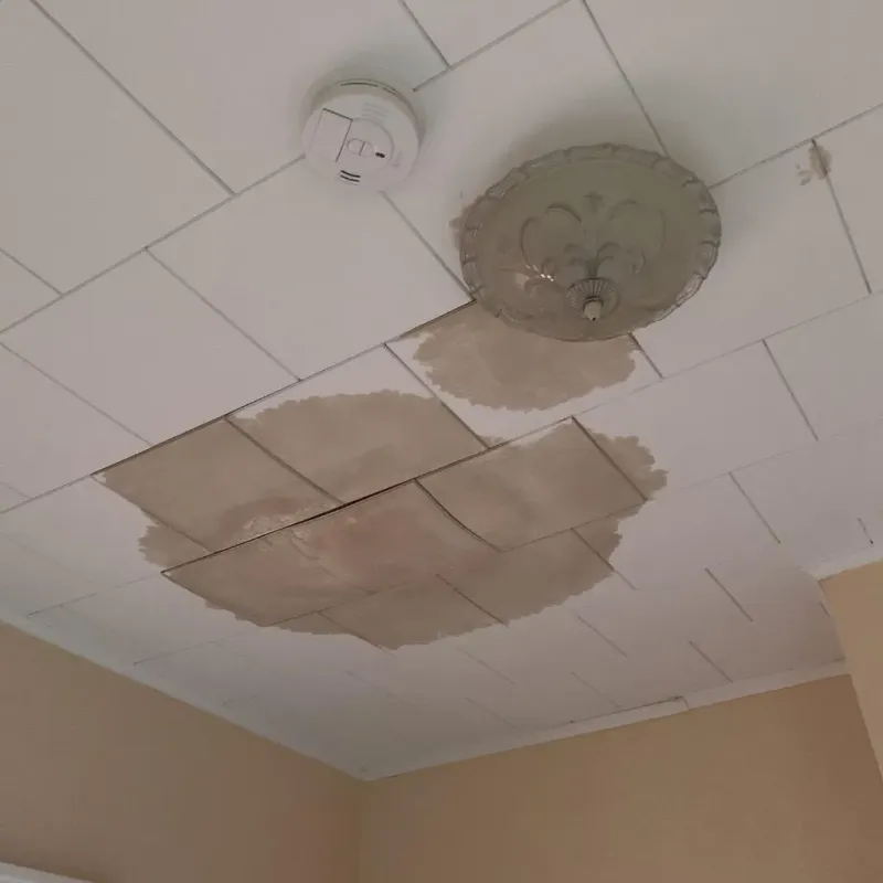 Ceiling Water Damage Repair in Mellette County, SD