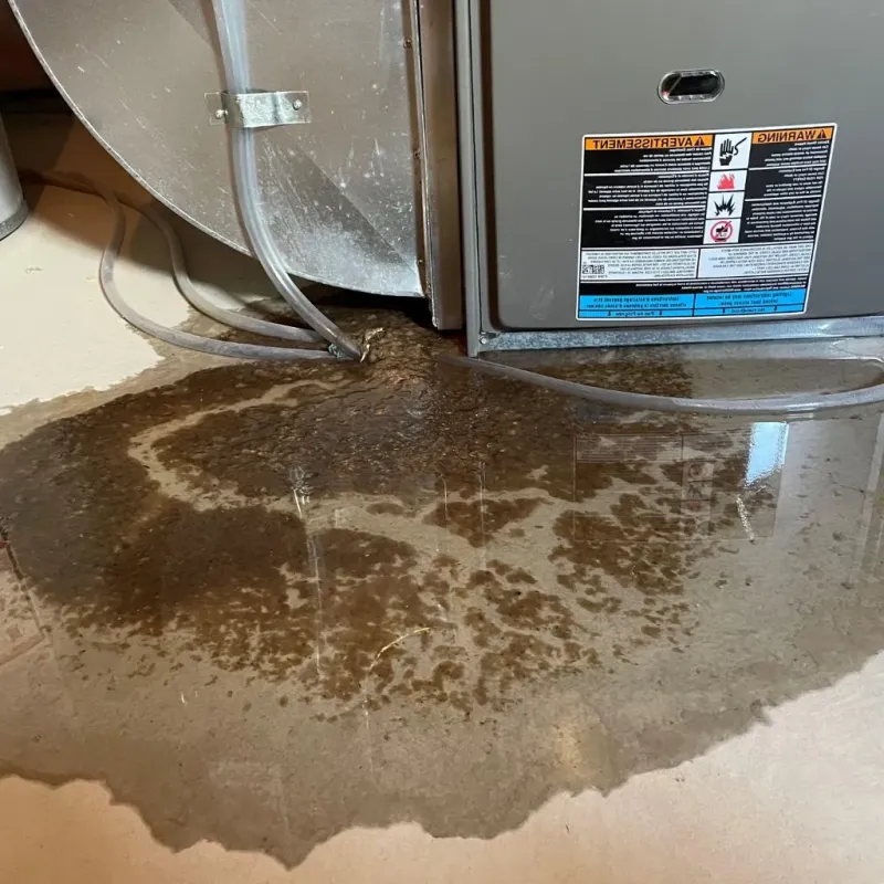 Pipe Burst and Leak Restoration in Mellette County, SD